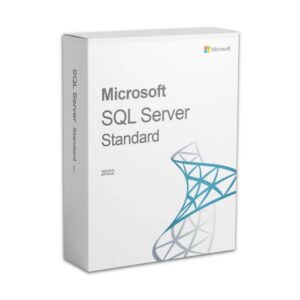 SQL Server 2022 Standard - Online