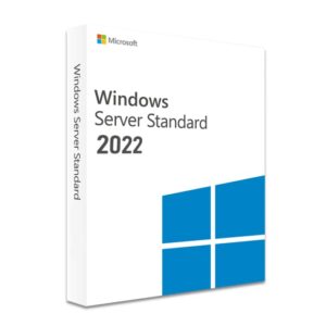 Windows Server 2022 Standard - Online